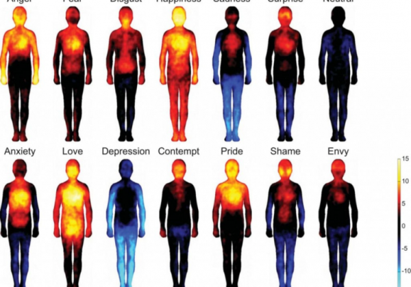 פיזור הדם שלנו משתנה לפי הרגשות.